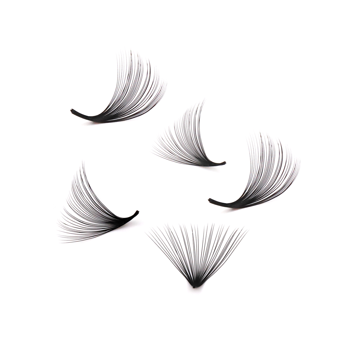 Aguud 2500 Fans Loose Fans Poi - Mega Volume Lash ulasan dan harga