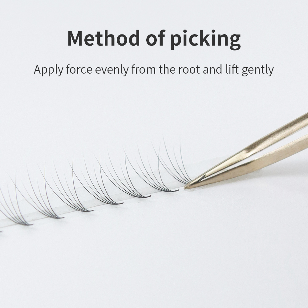 GLAMLASH Premade Volume Fan Ey - Mega Volume Lash ulasan dan harga